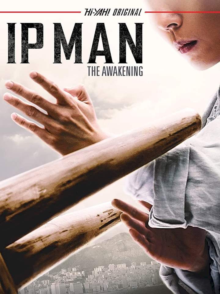ip man the awakening (2022)